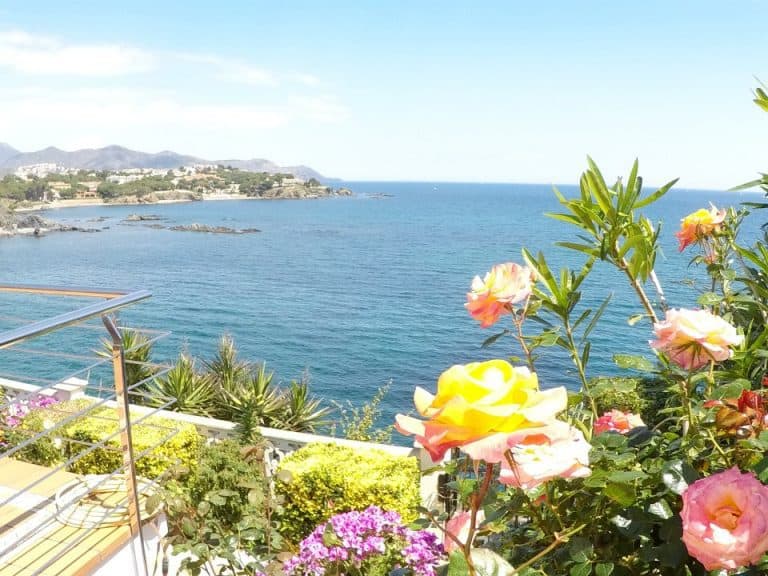 Apt Cau del Llop 1 CL1 - 03 Seafront view from terrace behind roses 960x720